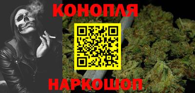 МДПВ Кингисепп