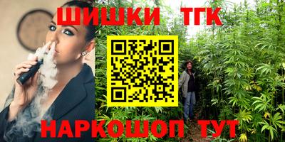 МДПВ Кингисепп