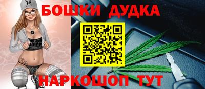 МДПВ Кингисепп