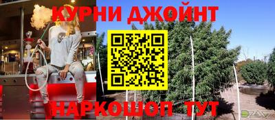МДПВ Кингисепп
