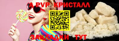 МДПВ Кингисепп