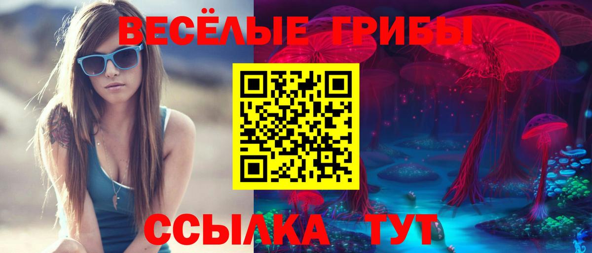 Псилоцибиновые грибы прущие грибы  как найти   Чусовой  Вход с VPN 